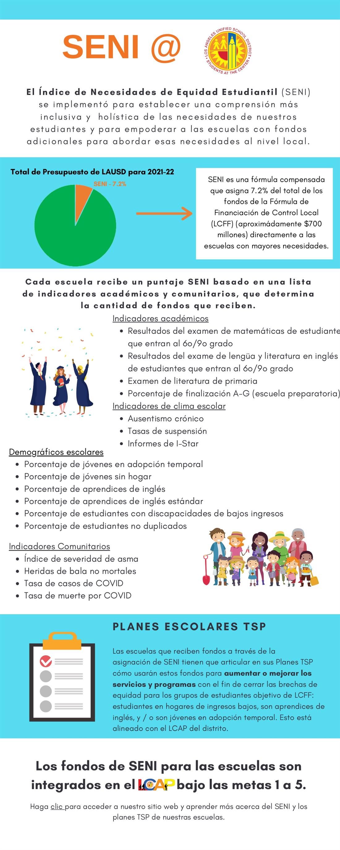 SENI Infographic spanish